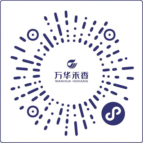 小程序.jpg